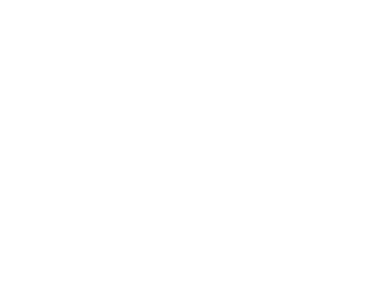 Website-Icon